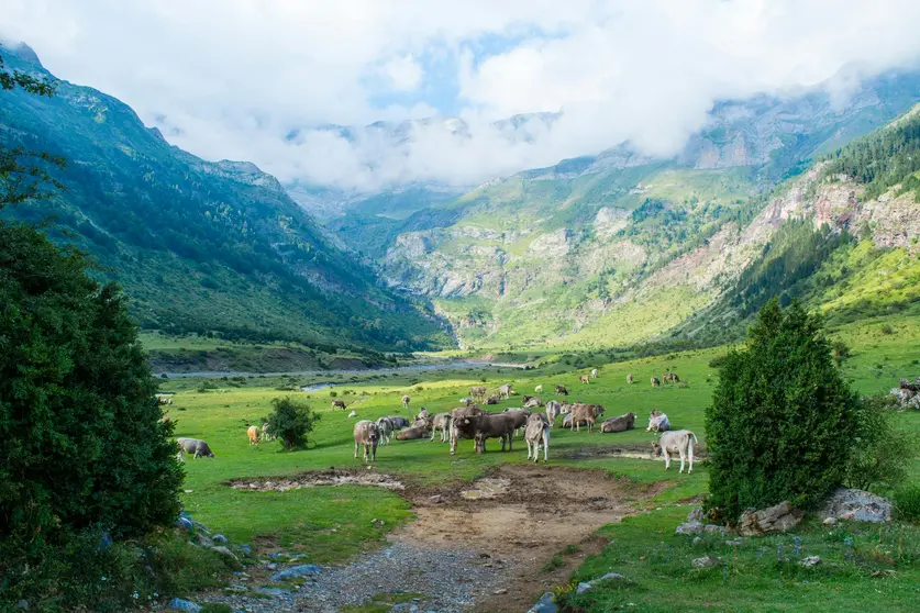 Financiar proyectos y formación en la Comarca: soluciones reales para quienes quieren avanzar