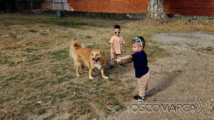 somoscomarca_20250605_obarco_niños_perro_pancho_concursocanino