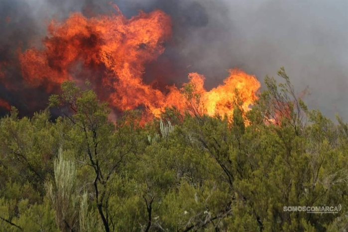 somoscomarca_vilariño_incendio_brigadasincendios3031