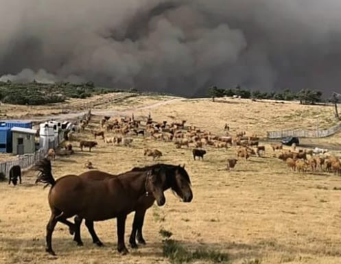 somoscomarca_cabezademanzaneda_incendio
