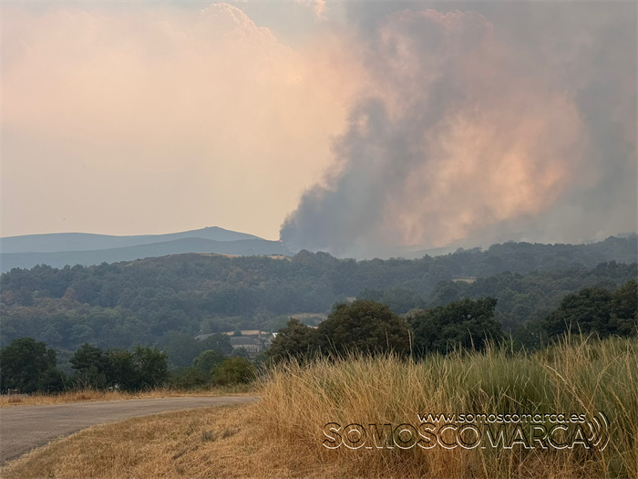 somoscomarca_20250813_incendiotrives_paradela