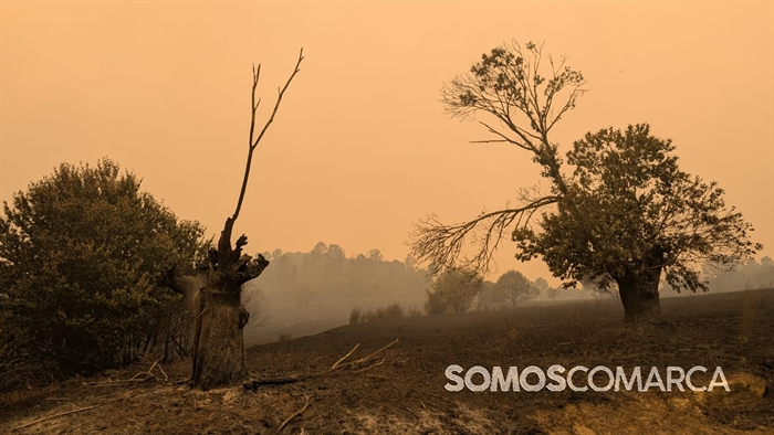 somoscomarca_arua_incendio_roblido_castaños_desolacion