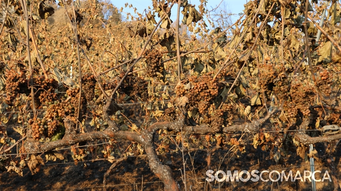 somoscomarca_albaredos_incendio_albaredos_hobbs3399