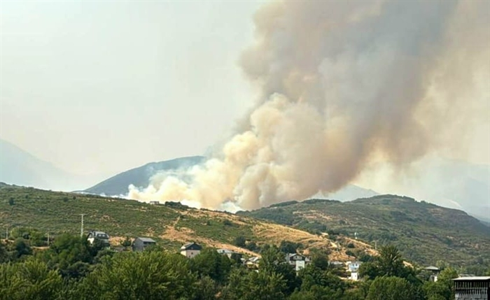 somoscomarca_leon_incendio_labaña