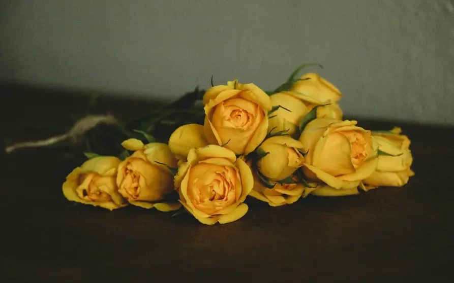 Rosas amarillas: Llena de alegría la Comarca con flores
