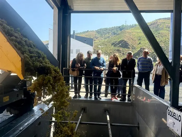 somoscomarca_20250912_obarco_visita_yolandadiaz_cooperativa1465