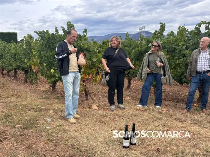 somoscomarca_vino_parcela_fardelas_milrios_cepasvellas_revival836
