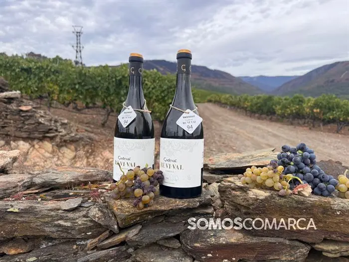 somoscomarca_vino_parcela_fardelas_milrios_cepasvellas_revival839