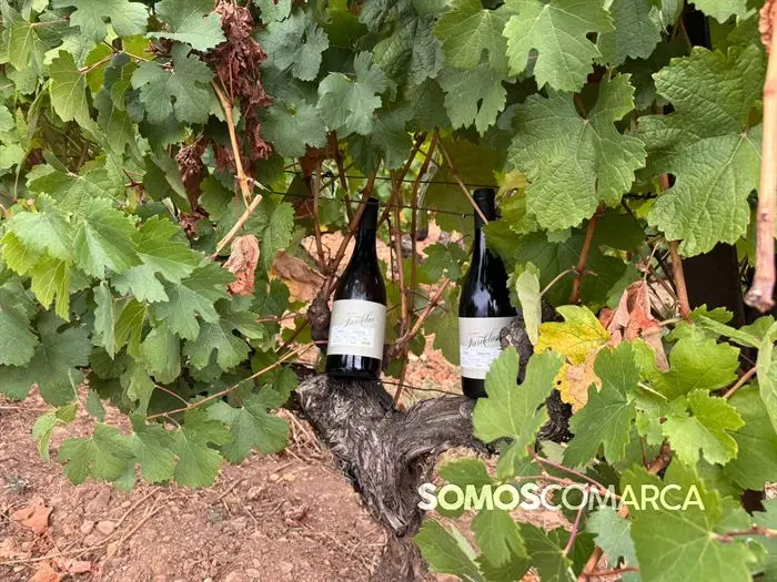 somoscomarca_vino_parcela_fardelas_milrios_cepasvellas_revival842