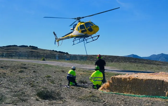 somoscomarca_20251001_carballeda_xunta_comida_fauna_helicoptero1650