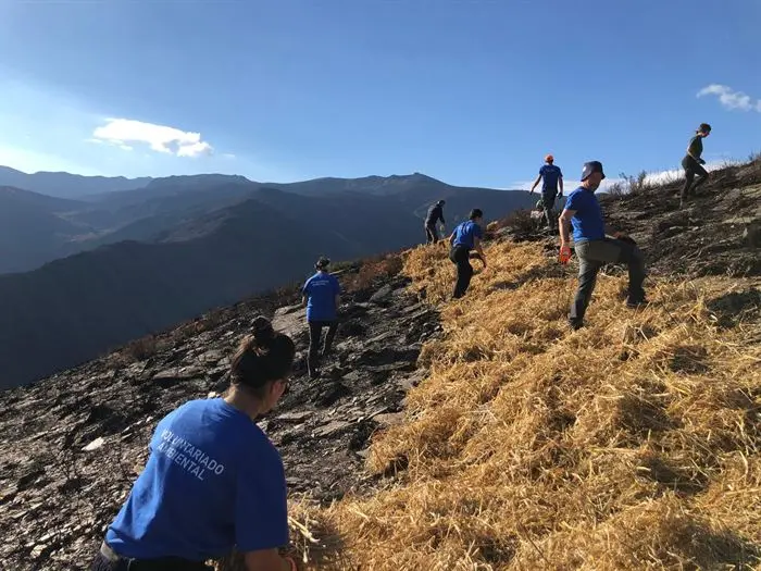 somoscomarca_casaio_manzaneda_voluntariado_mulchin (1)