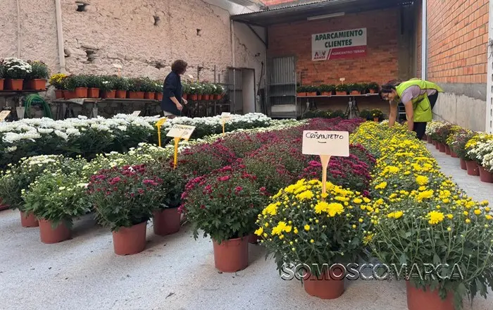 somoscomarca_20251016_obarco_agricentroteran_flores_santos1794