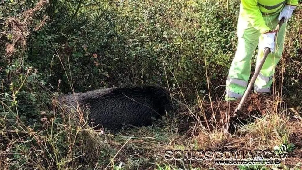 somoscomarca_20251020_jabali_accidente_N120