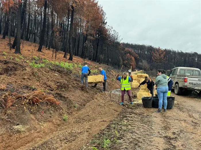 somoscomarca_vilamartin_voluntariado_mulching (4)