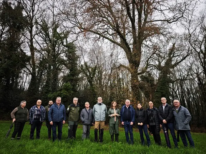 somoscomarca_20251212_xunta_Arboles2270