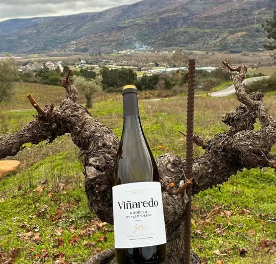 somoscomarca_20260109_vilamartin_santamarta_vi&ntilde;aredo_nuevaimagen2446