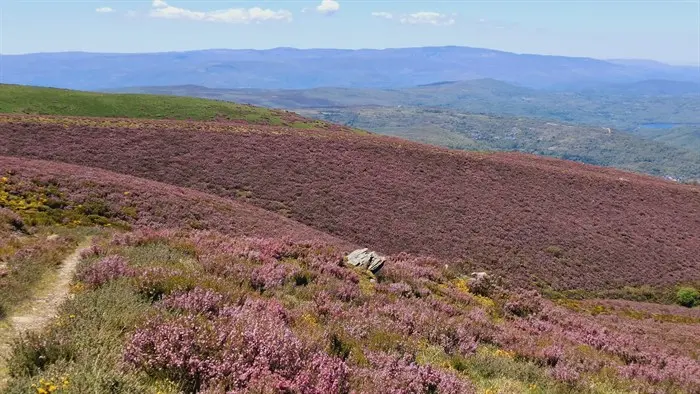 somoscomarca_20260119_aveiga_turismo_fitur2526