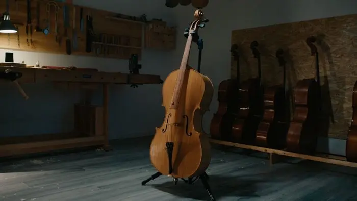 somoscomaca_casaio_ecodosteixos_violonchelo3116