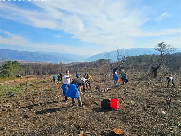 somoscomarca_larouco_plantacionarboles (1)