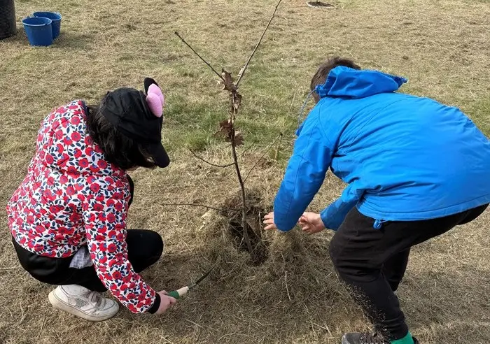 somoscomarca_elrosal_plantararboles (1)