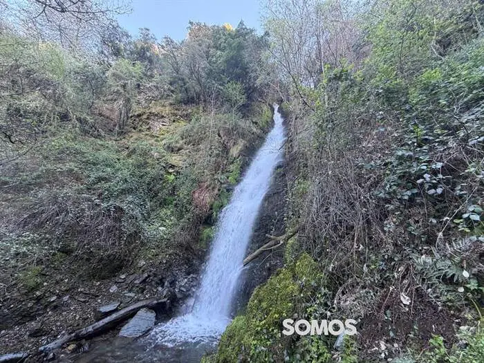 somoscomarca_fervenza_animales_puebloapueblo513