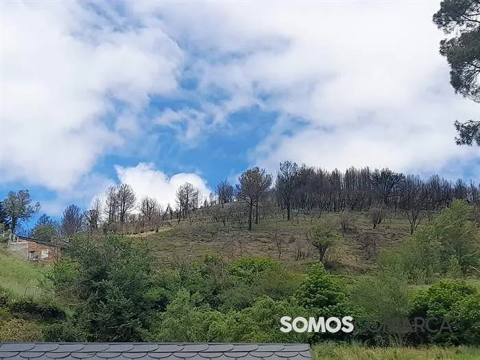 somoscomarca_forcadela_accidente