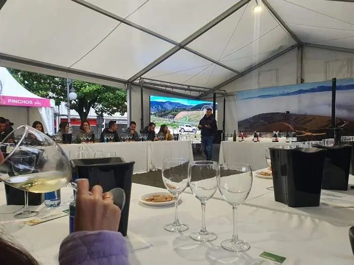 somoscomarca_feriadelvinodecacabelos (1)