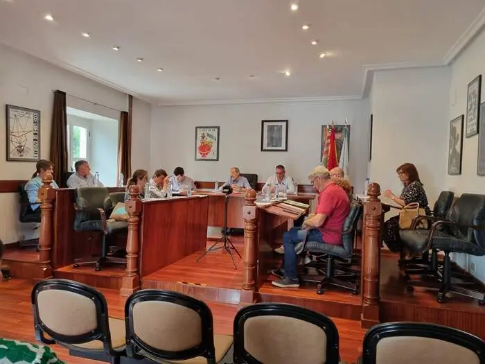 somoscomarca_20260060120625_viana_plenoextraordinario3724