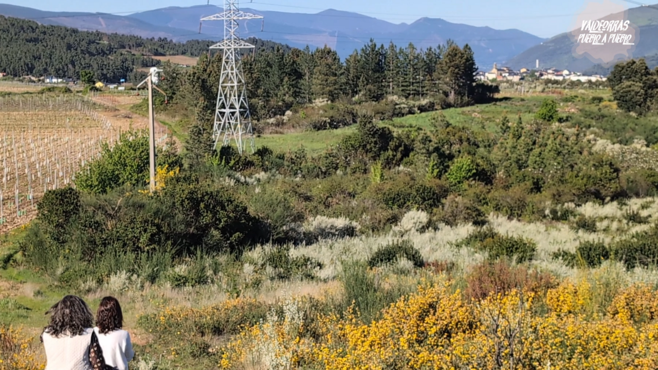 Captura de pantalla 2025-10-20 204555