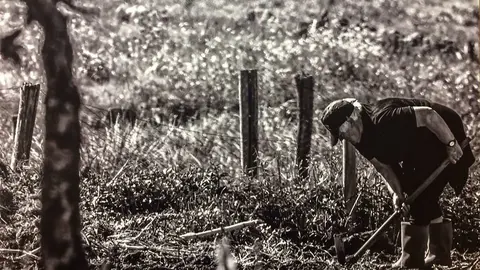 Fotografía de Luis Sánchez ganadora del certamen "Olladas de Igualdade"