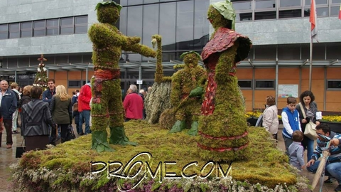Imagen Maios de la festividad de  2015