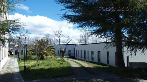 Centro de dia Manzaneda