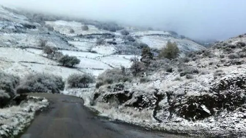 NEVADA CASAIO