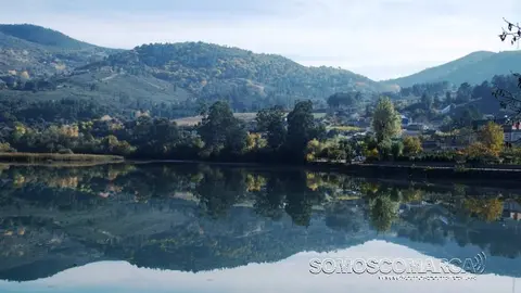 Colores de otoño en el embalse de San Martiño en Petín 2016