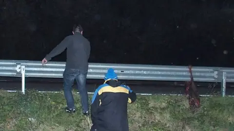 Atropello jabalí en Vilamartín