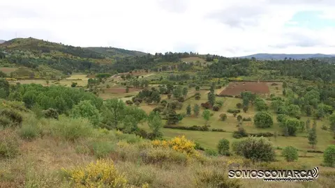 Camporredondo, Petín