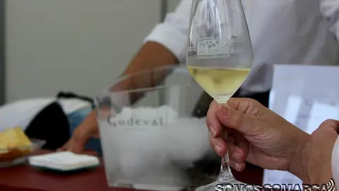 somoscomarca_obarco_godello_godeval_feiradoviño_2018_godello_copagodello