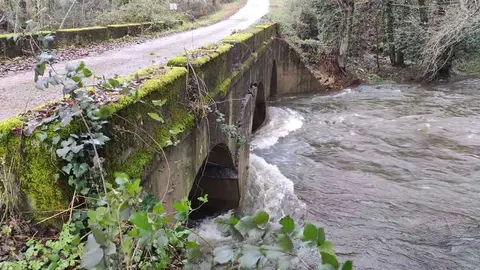 barxa