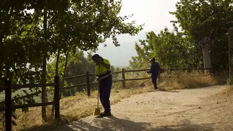 Desbroce, zona de bodefgas de Seadur (Larouco)