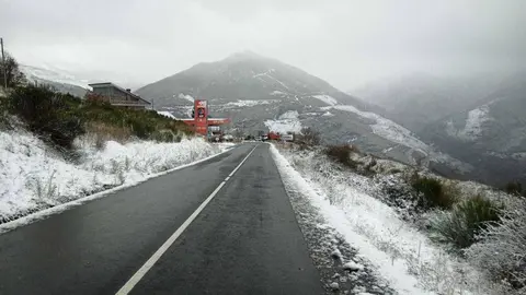 nieve casaio