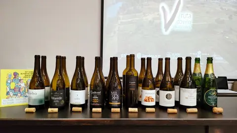 Curso cata_Ruta do viño_viñedos_03