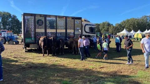 somoscomarca_aveiga_feriaganadera_juananta_inorde_emmagonzalez_bandadegaitas (13)