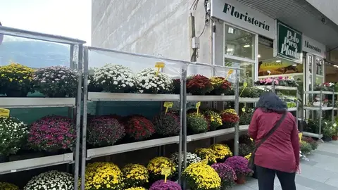 somoscomarca_pelo_pico_planta_obarco_empresa_dia_santos_2021_10_15 (4)