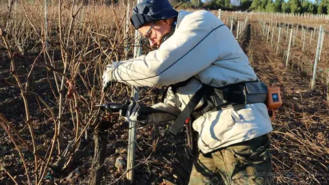 somoscomarca_corgomo_vino_viña_poda_deberna_2018 (3)
