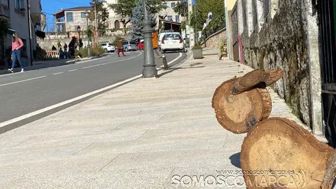 Nadal enxebre da Veiga (15)