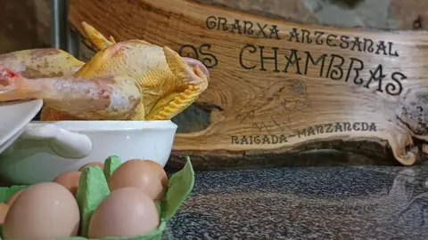 somoscomarca_oschambras_huevos_gallinas_2021-12-19