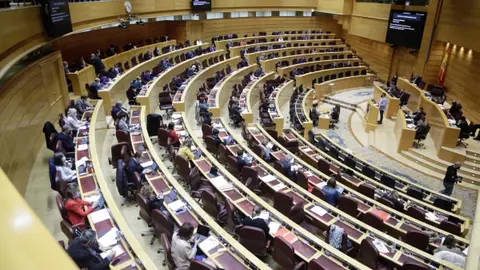 senado
