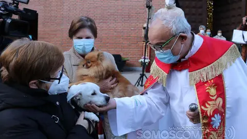 Bendición animales en O Barco el día de San Antonio 2022 (24)
