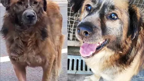 269668270_4736476376467622_5894007249436289745_n