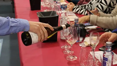 somoscomarca_cata_obarco_botelo_06_02_2022